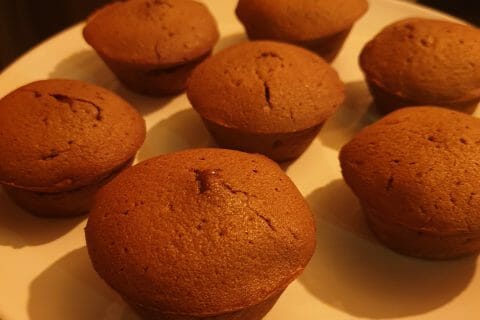 Cliquez pour zoomer ! Cakounet au chocolat Thermomix par tsunade