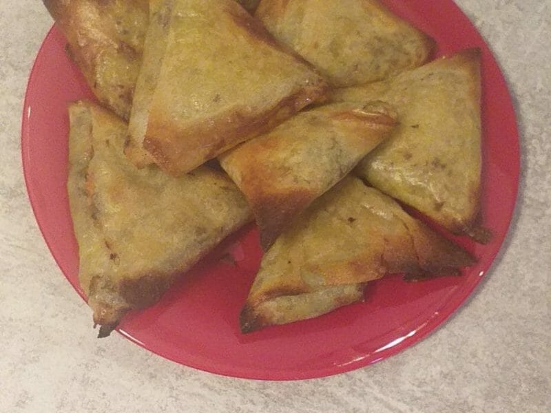 Cliquez pour zoomer ! Samoussa au boeuf Thermomix par bella63