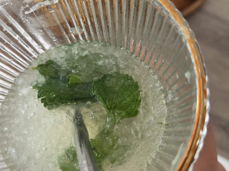 Cliquez pour zoomer ! Mojito Thermomix par Jade