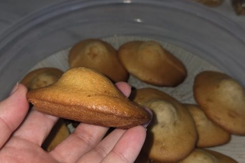 Cliquez pour zoomer ! Madeleines Thermomix par Jade
