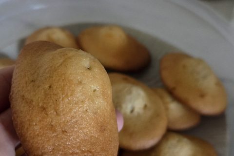 Cliquez pour zoomer ! Madeleines Thermomix par Jade