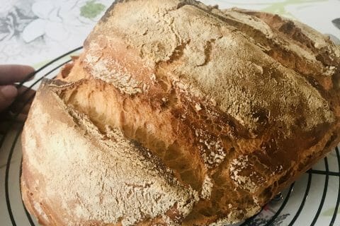 Cliquez pour zoomer ! Pain Cocotte Thermomix par nadou77114