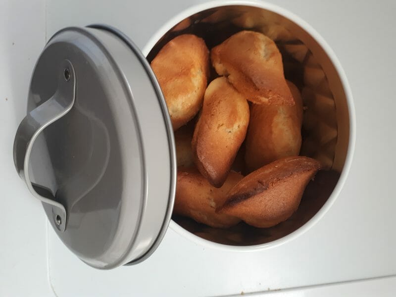 Cliquez pour zoomer ! Madeleines Thermomix par Loubec