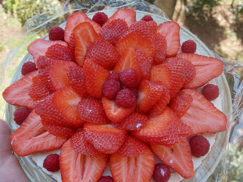 Cliquez pour zoomer ! Tarte aux fraises sans cuisson Thermomix par anais_166