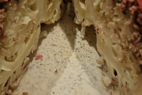 Cliquez pour zoomer ! Bombe de chou-fleur Thermomix par Claudia