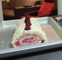 Cliquez pour zoomer ! Bûche de Noël framboises et chocolat blanc Thermomix par minuitchan