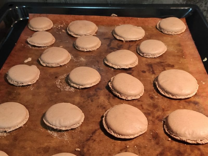 Cliquez pour zoomer ! Macarons Thermomix par minuitchan