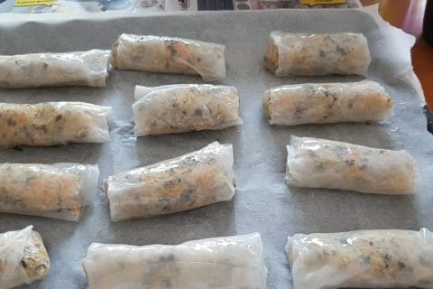 Cliquez pour zoomer ! Nems au poulet Thermomix par nanou_roches