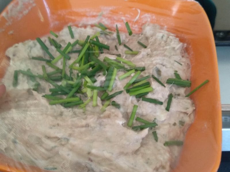 Cliquez pour zoomer ! Rillettes de thon Thermomix par adeline_flx
