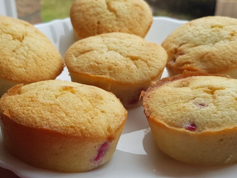 Cliquez pour zoomer ! Visitandines aux framboises Thermomix par lizana