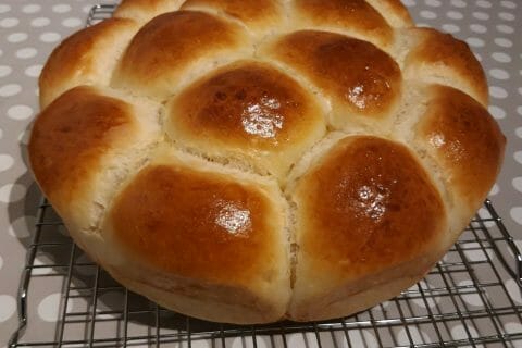 Cliquez pour zoomer ! Brioche Buchty Thermomix par Kala_piso