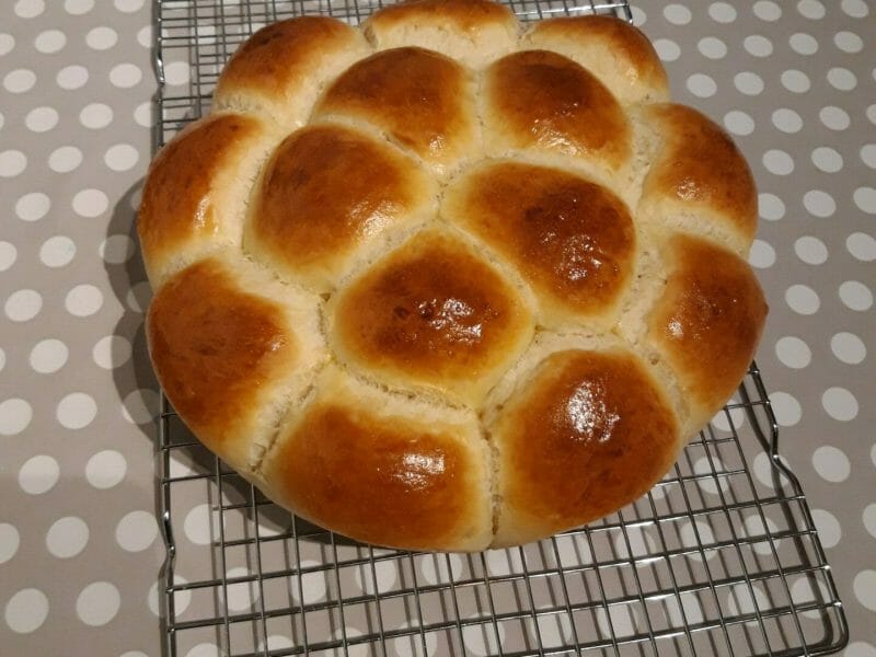 Cliquez pour zoomer ! Brioche Buchty Thermomix par Kala_piso