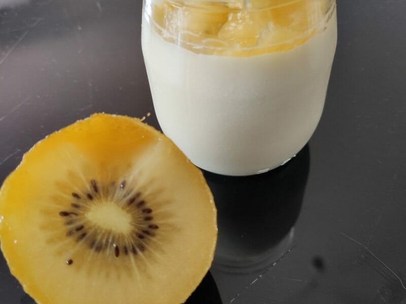 Cliquez pour zoomer ! Panna Cotta Thermomix par anais_amalia