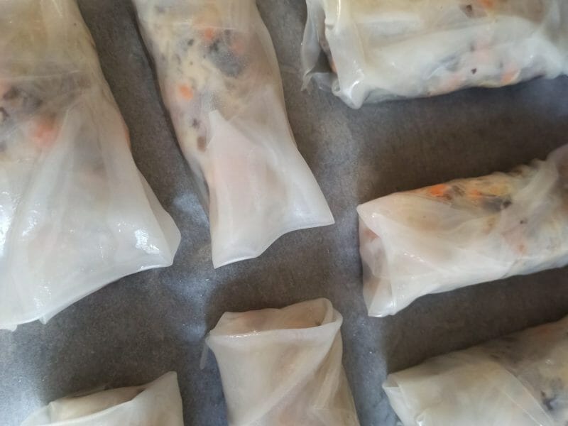 Cliquez pour zoomer ! Nems au poulet Thermomix par selena_23