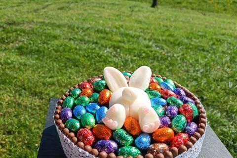 Cliquez pour zoomer ! Gâteau lapin de Pâques Thermomix par margobibi67