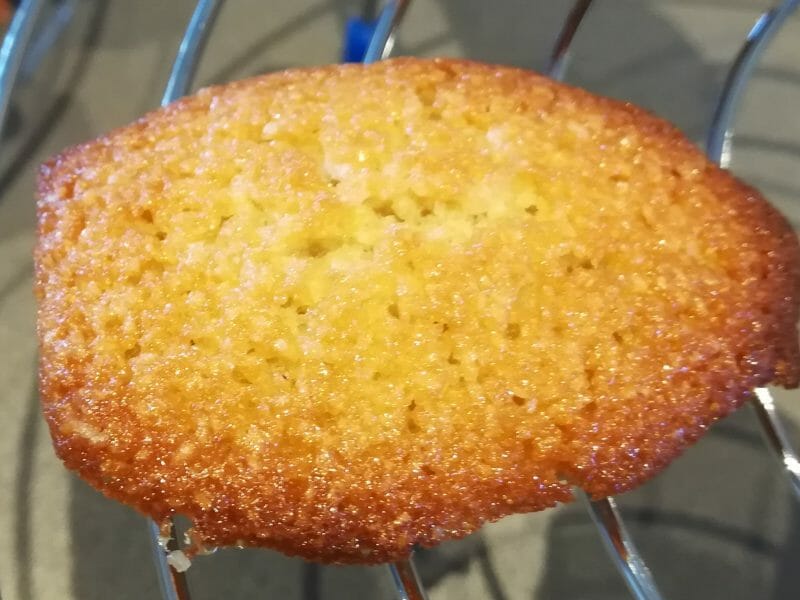 Cliquez pour zoomer ! Financiers Thermomix par NadaElBanna