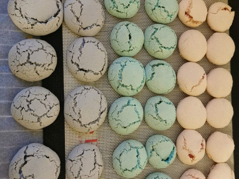 Cliquez pour zoomer ! Macarons Thermomix par phik