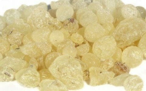 Cliquez pour zoomer ! Photo de karimagaout