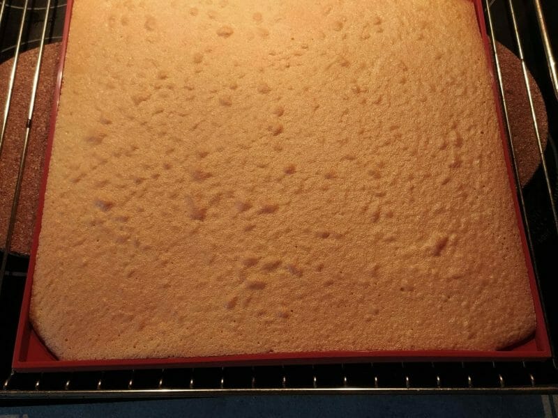 Cliquez pour zoomer ! Génoise au chocolat Thermomix par Milou76