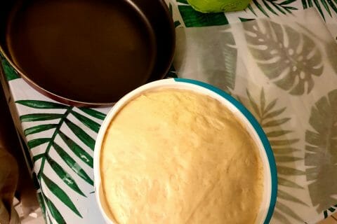 Cliquez pour zoomer ! Brioche Buchty Thermomix par malo70