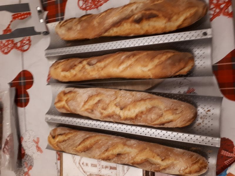Cliquez pour zoomer ! Baguettes Thermomix par FS67