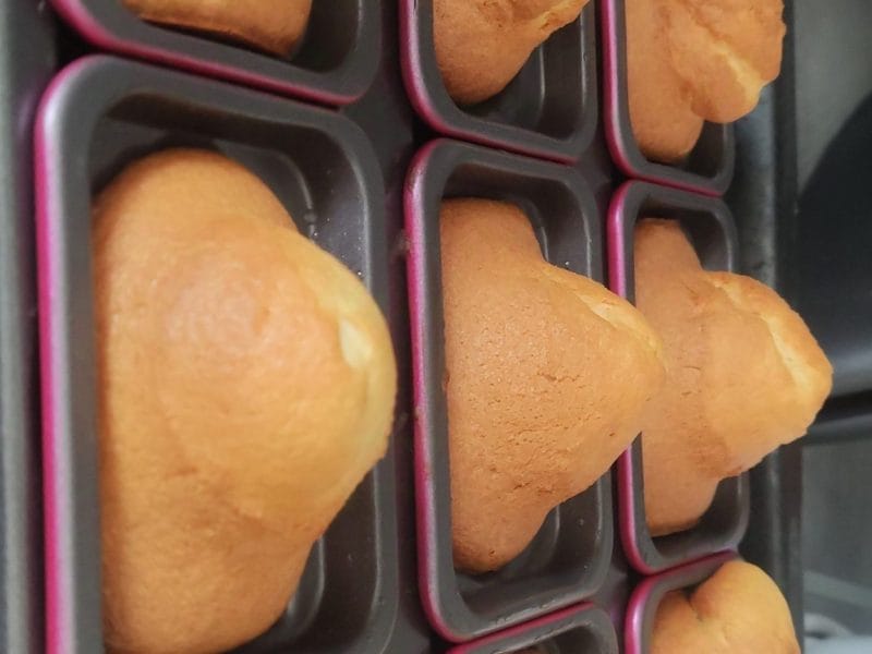 Cliquez pour zoomer ! Madeleines Thermomix par mila1304