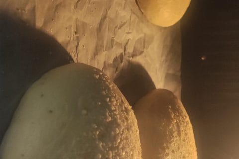 Cliquez pour zoomer ! Pains burger au parmesan et romarin Thermomix par mila1304