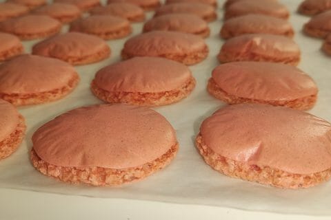 Cliquez pour zoomer ! IMG_20210116_160322