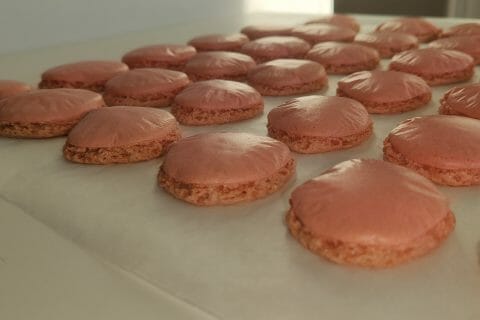 Cliquez pour zoomer ! IMG_20210116_160336