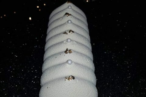 Cliquez pour zoomer ! Pâte de praliné Thermomix par coraliefathisami