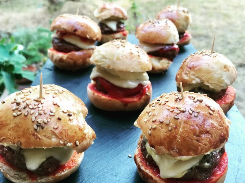 Cliquez pour zoomer ! Pains hamburger Thermomix par e1000iiie