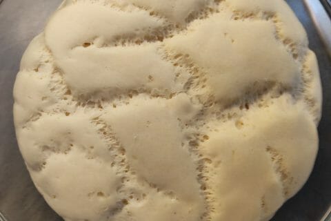 Cliquez pour zoomer ! Panini Thermomix par sandrine_238