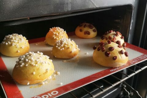 Cliquez pour zoomer ! Brioche Buchty Thermomix par marilynek