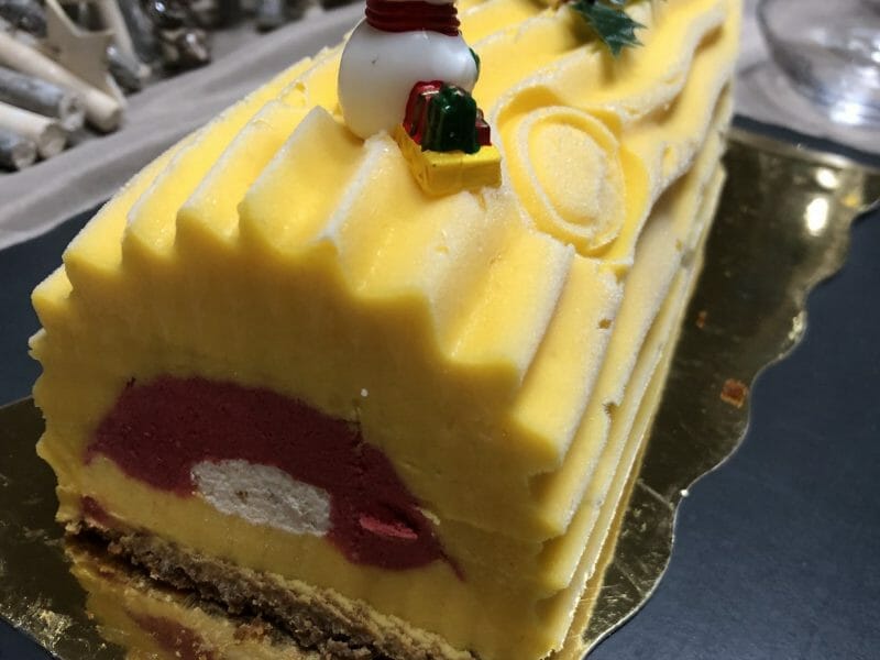 Cliquez pour zoomer ! Bûche glacée mangue et framboise Thermomix par emimatya