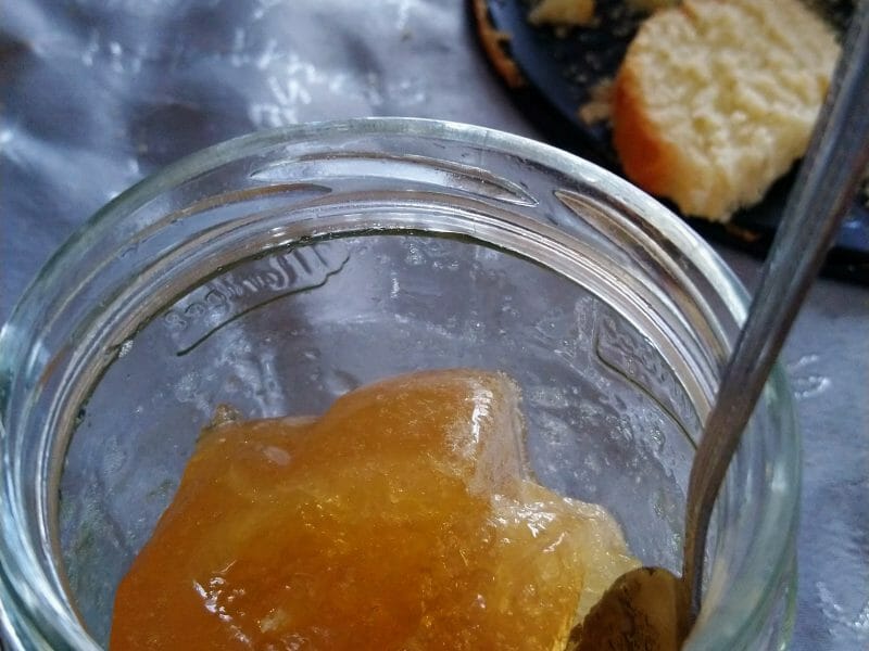 Cliquez pour zoomer ! Gelée de citrons Thermomix par colibri11100