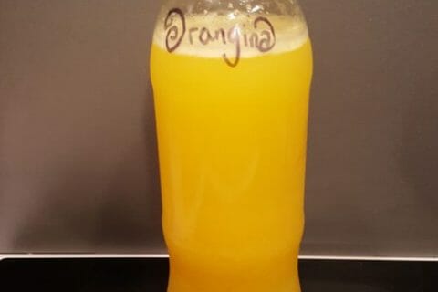 Cliquez pour zoomer ! Orangina maison Thermomix par Shaaz
