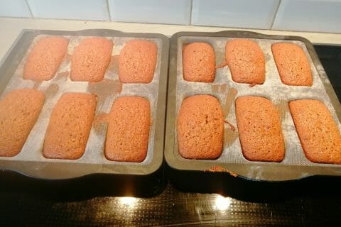 Cliquez pour zoomer ! Pain d’épices Thermomix par tiwara