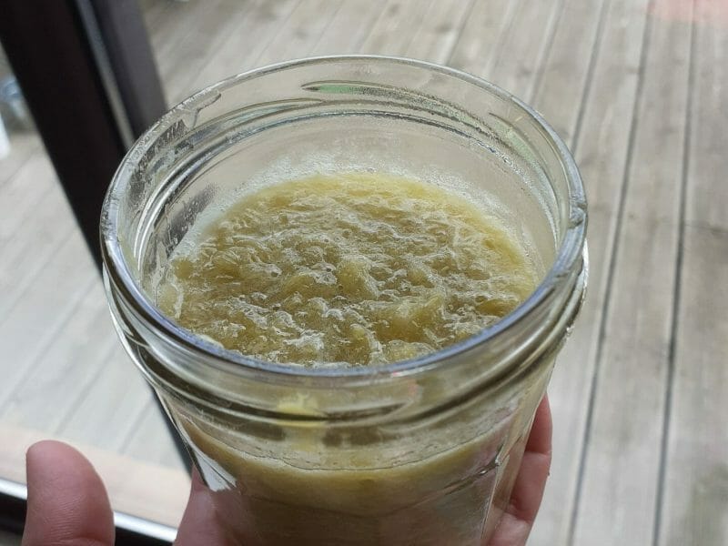 Compote de rhubarbe au Thermomix Cookomix