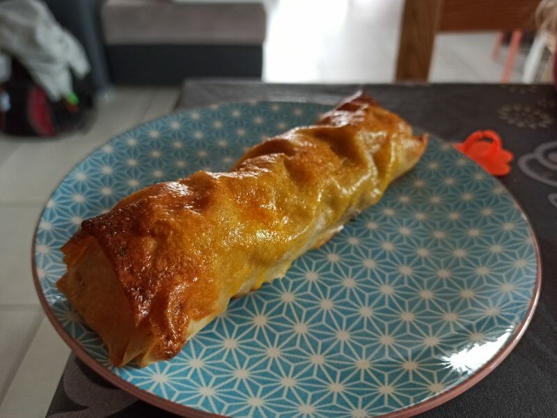 Cliquez pour zoomer ! Brick de saumon et poireaux Thermomix par GumyRunner38