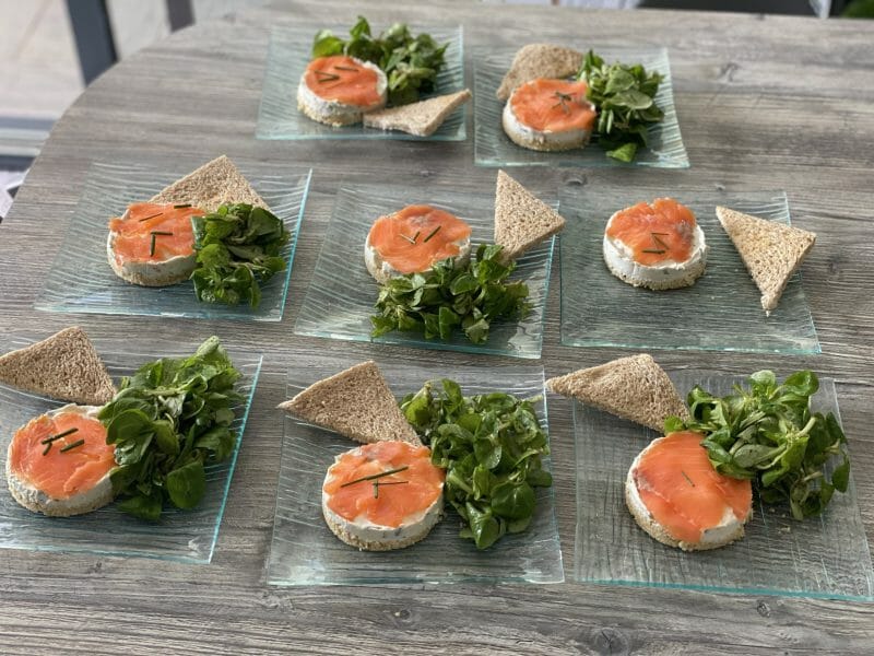 Cliquez pour zoomer ! Cheesecake au saumon sans cuisson Thermomix par steph37000