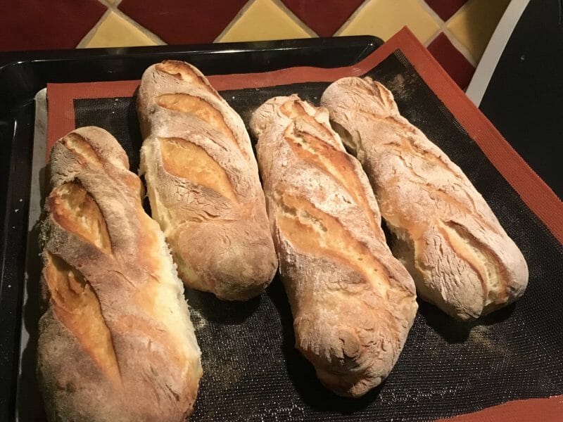 Cliquez pour zoomer ! Baguettes Thermomix par poupim29