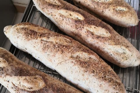 Cliquez pour zoomer ! Photo de Demkaty