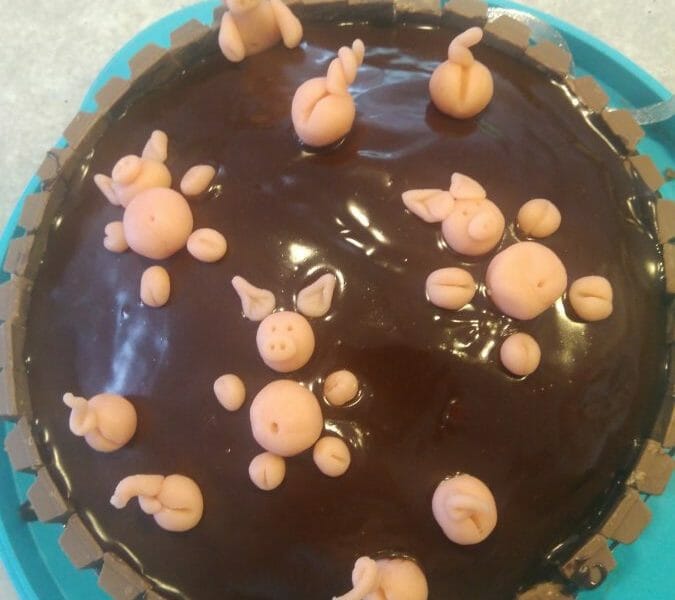 Cliquez pour zoomer ! La mare aux cochons Thermomix par Chantal40