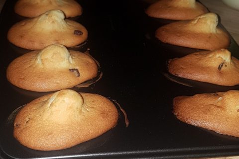Cliquez pour zoomer ! Madeleines Thermomix par cha_28