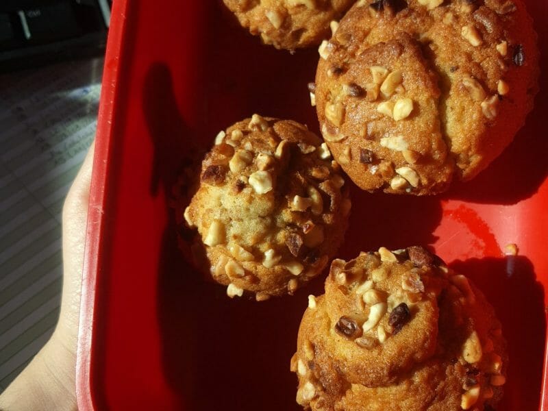 Cliquez pour zoomer ! Muffins aux noisettes Thermomix par imane2b