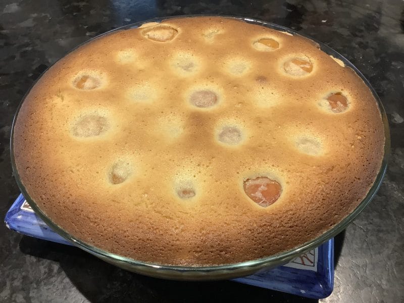 Cliquez pour zoomer ! Tarte amandine aux abricots Thermomix par sylvietc