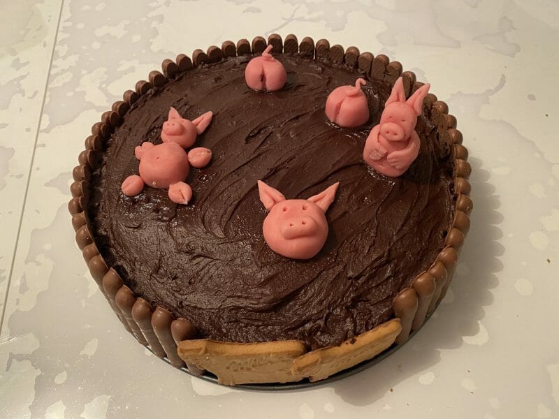 Cliquez pour zoomer ! La mare aux cochons Thermomix par capucine_5