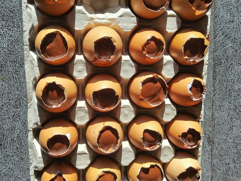 Cliquez pour zoomer ! Mousse au chocolat magique Thermomix par Mrose