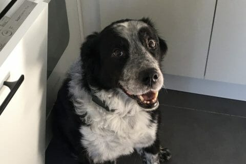 Cliquez pour zoomer ! Brioche cocotte Thermomix par 🌸 c00ki 🌸