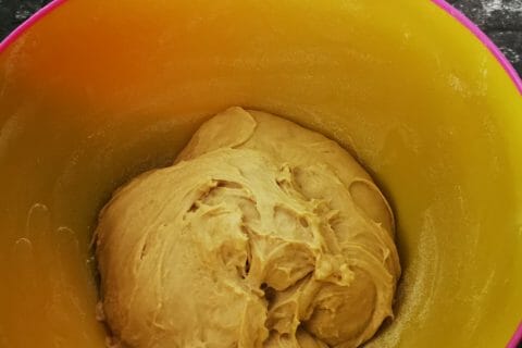 Cliquez pour zoomer ! Brioche Buchty Thermomix par saralyja